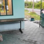 Конфлікт через пса: у Гощі біля магазину сталася різанина