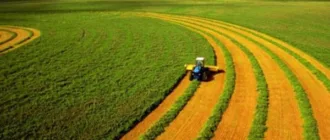 Місцеві аграрії скуповують арештовану землю на Волині: хто взяв найбільший шмат