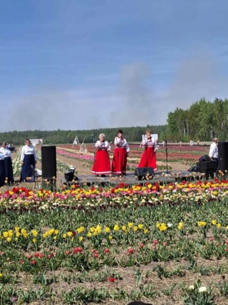 На Ковельщині відкрили тюльпанове поле 202535