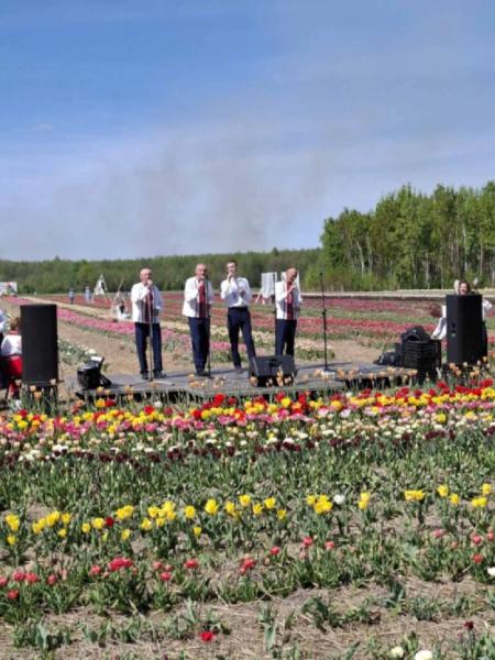 На Ковельщині відкрили тюльпанове поле 202533