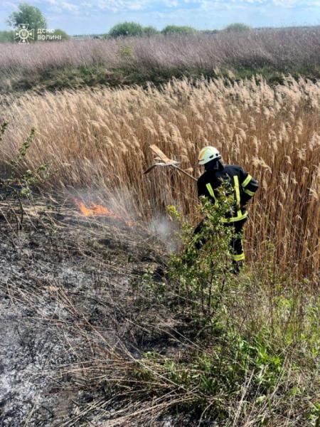 На Ковельщині за добу ліквідували чотири пожежі: горіли чагарники і трава4