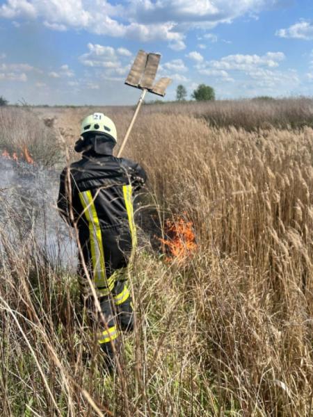 На Ковельщині за добу ліквідували чотири пожежі: горіли чагарники і трава1