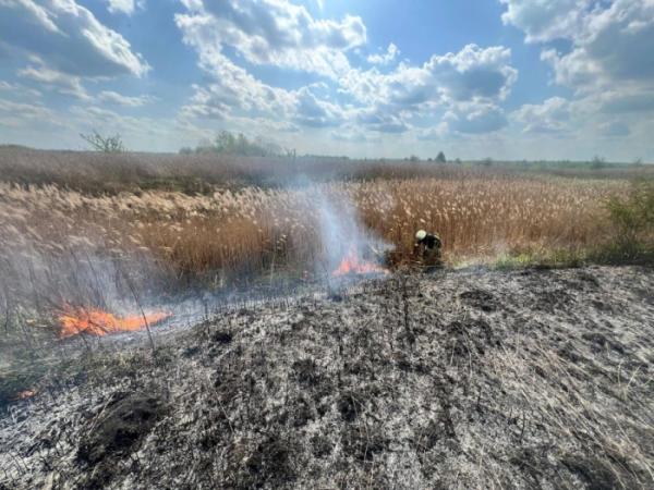 На Ковельщині за добу ліквідували чотири пожежі: горіли чагарники і трава2