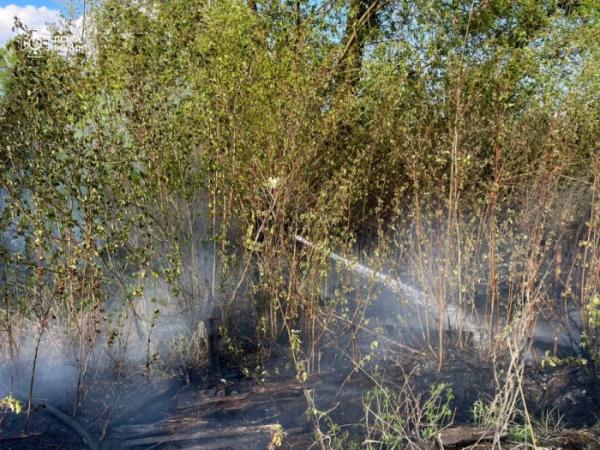 На Ковельщині за добу ліквідували чотири пожежі: горіли чагарники і трава3