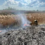 На Ковельщині за добу ліквідували чотири пожежі: горіли чагарники і трава