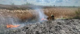 На Ковельщині за добу ліквідували чотири пожежі: горіли чагарники і трава