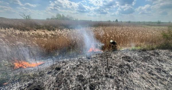На Ковельщині за день вигоріло понад 11 гектарів екосистем у чотирьох різних місцях.