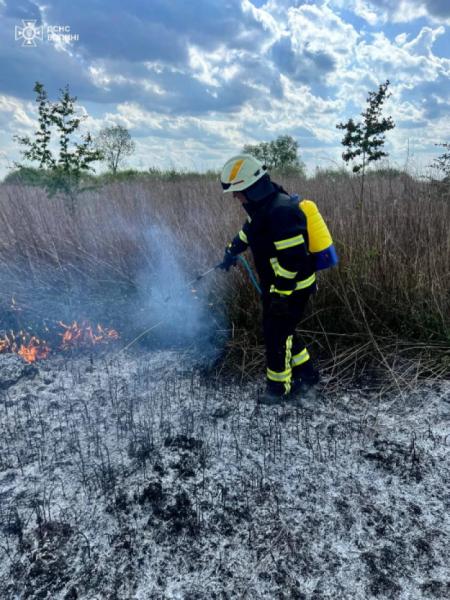 На Ковельщині за добу ліквідували чотири пожежі: горіли чагарники і трава5