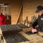 На Одещині викрили схему контрабанди деревини