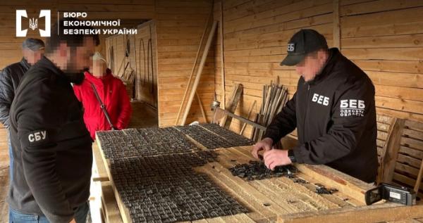 На Одещині викрили схему контрабанди деревини
