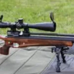 На окупованій частині Херсонщини погрожують конфіскацією зброї без російських документів
