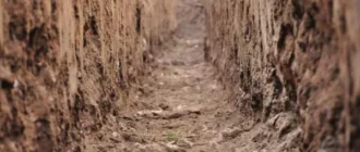 На Волині завод за десятиліття не освоїв навіть 1% запасів суглинку