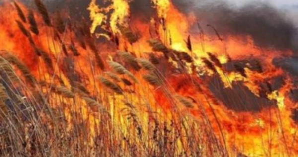 За минулу добу рятувальники ліквідували 10 пожеж, які знищили понад 7 гектарів землі.