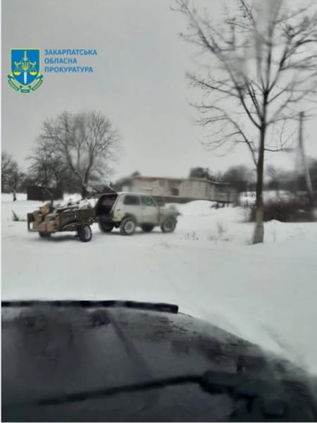 У цей день на Закарпатті: фейкове замінування, сімейний садист та крадіжа лісу6