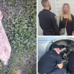 У цей день на Закарпатті: фейкове замінування, сімейний садист та крадіжа лісу