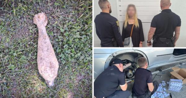 У цей день на Закарпатті: фейкове замінування, сімейний садист та крадіжа лісу