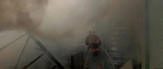 У Горохові з пожежі врятували жінку та трьох дітей