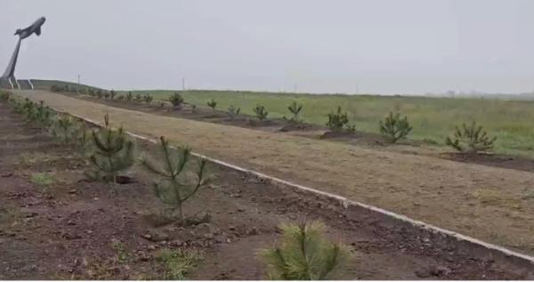 Пропагандистські «сади пам'яті» в окупованому Скадовську / Окупаційне джерело