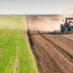 Українські аграрії засіяли понад 75% ярих зернових і зернобобових