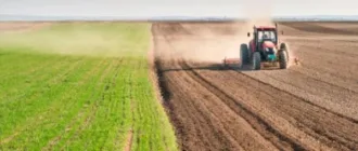 Українські аграрії засіяли понад 75% ярих зернових і зернобобових