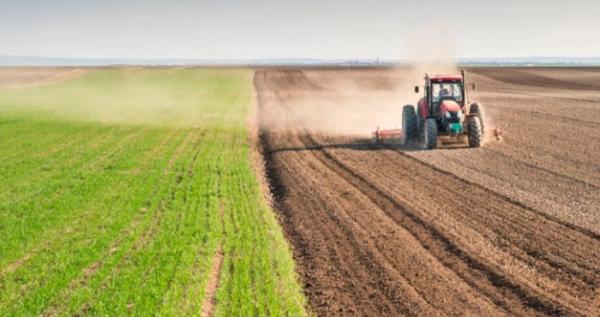 Українські аграрії засіяли понад 75% ярих зернових і зернобобових