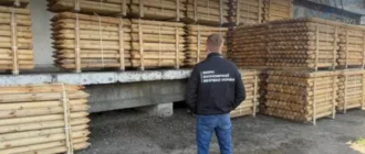В Одесі судитимуть латвійця, який намагався незаконно експортувати хвойні