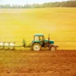 Аграрії Рівненщини залучили понад 800 мільйонів гривень доступних кредитів