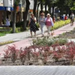 «Багаторічники - прикраса міста в будь-яку пору року»: в Луцьку урбаністи говорили про озеленення
