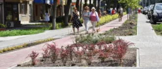 «Багаторічники - прикраса міста в будь-яку пору року»: в Луцьку урбаністи говорили про озеленення