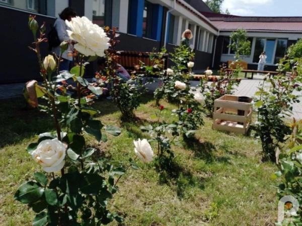 «Це наш дім»: у Луцьку переселенці розповідали, як склалося їх життя на новому місці4