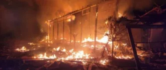 Через обстріл Вилкового довкіллю завдано збитків на понад 216 тисяч гривень
