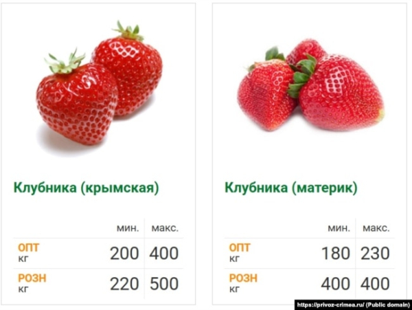 Вартість полуниці в Криму та сусідній Росії, за даними сімферопольського ринку «Привоз», червень 2025 року