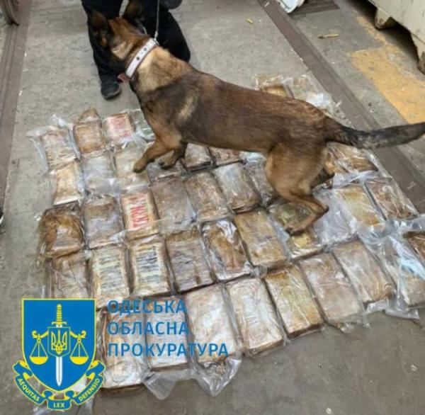 Контрабанда кокаїну з Еквадору: на Одещині учасників міжнародного злочинного угруповання засудили до 11 років ув’язнення1
