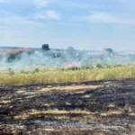 На Берегівщині під час спалювання сміття у пожежі загинула жінка