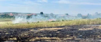 На Берегівщині під час спалювання сміття у пожежі загинула жінка