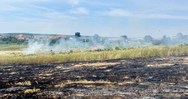 На Берегівщині під час спалювання сміття у пожежі загинула жінка