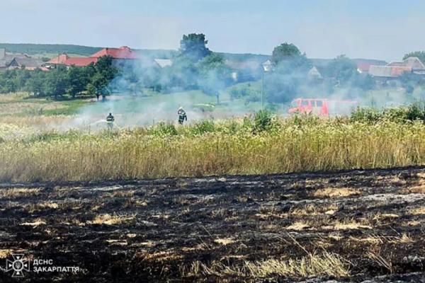 На Берегівщині під час спалювання сміття у пожежі загинула жінка1