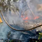 На Херсонщині за добу – 11 пожеж, більшість через обстріли