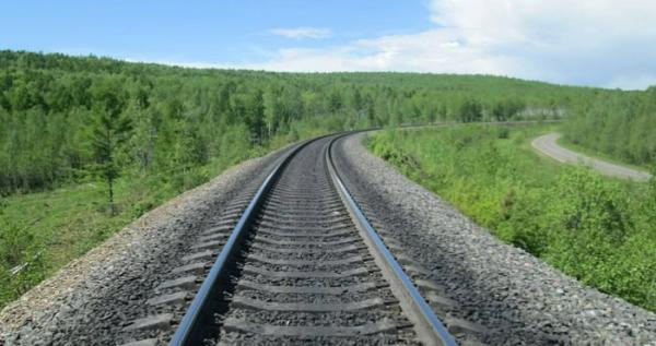 Фото ілюстративне Фото ілюстративне