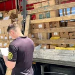На Закарпатті митники виявили незадекларовані медпрепарати на понад 9 мільйонів гривень
