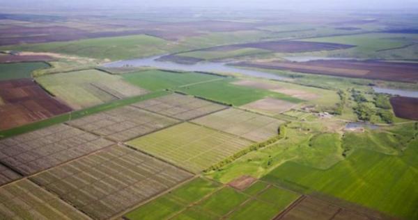 Земельні ділянки. Світлина ілюстративна