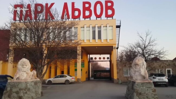 За закритими воротами «Тайгану»: як зараз живе парк левів? (відео)