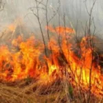 Понад 900 пожеж з початку року: рятувальники Рівненщини нагадують про штрафи та небезпеку