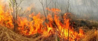 Понад 900 пожеж з початку року: рятувальники Рівненщини нагадують про штрафи та небезпеку