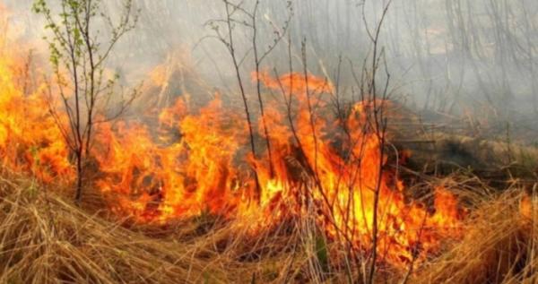 На Рівненщині сталося понад 900 пожеж з початку року