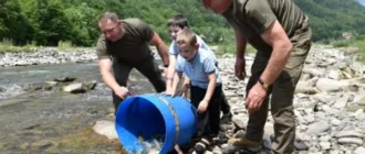 Річки Закарпаття зарибили фореллю