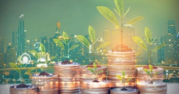 Рівненські надрокористувачі сплатили 150 мільйони гривень ренти