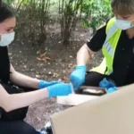Сховав тіло у коробці в підвалі: в Одесі затримали підозрюваного у вбивстві 7-річної дівчинки