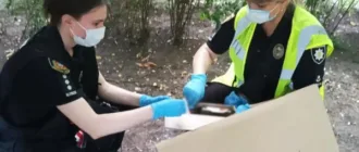 Сховав тіло у коробці в підвалі: в Одесі затримали підозрюваного у вбивстві 7-річної дівчинки
