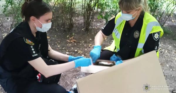 Сховав тіло у коробці в підвалі: в Одесі затримали підозрюваного у вбивстві 7-річної дівчинки